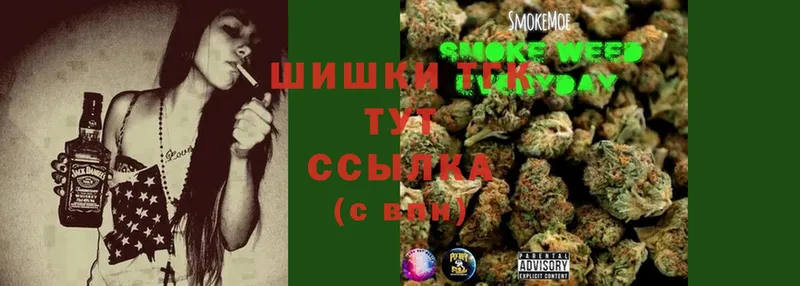 Каннабис LSD WEED  MEGA сайт  Ак-Довурак 